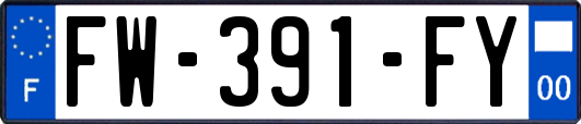 FW-391-FY