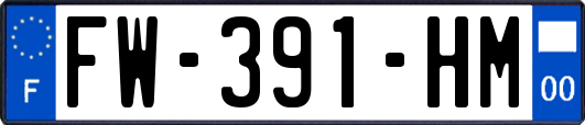 FW-391-HM