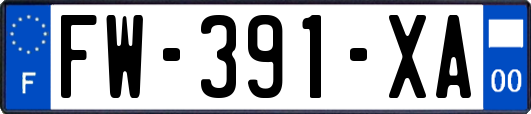 FW-391-XA