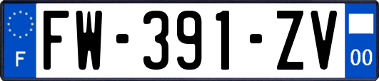 FW-391-ZV