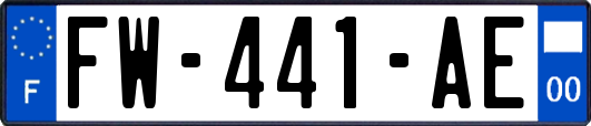 FW-441-AE