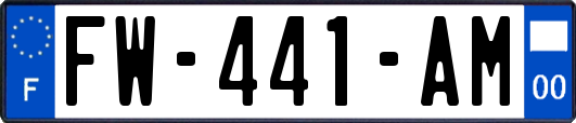FW-441-AM