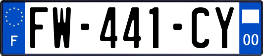 FW-441-CY