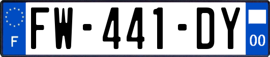 FW-441-DY