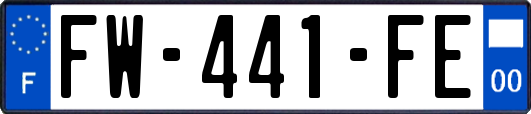 FW-441-FE