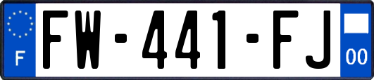FW-441-FJ