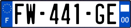 FW-441-GE