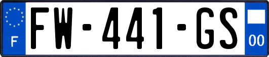 FW-441-GS