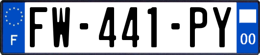 FW-441-PY