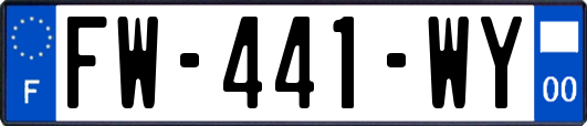 FW-441-WY