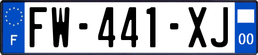 FW-441-XJ