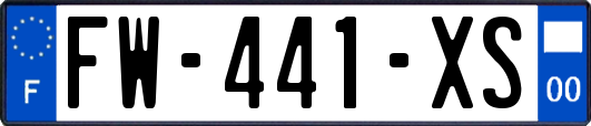 FW-441-XS
