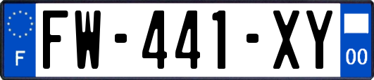 FW-441-XY