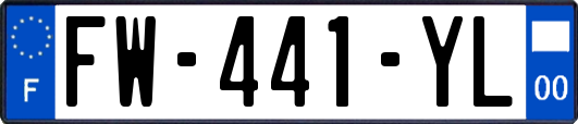 FW-441-YL