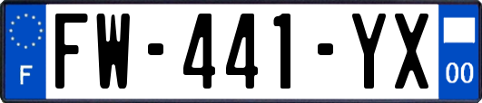 FW-441-YX