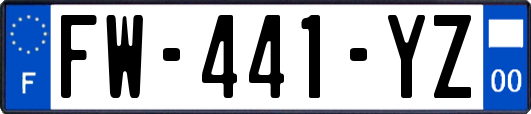 FW-441-YZ