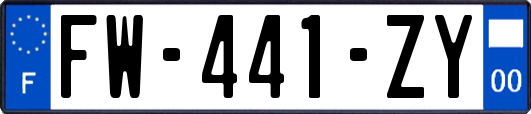 FW-441-ZY
