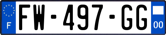 FW-497-GG