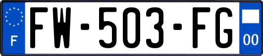 FW-503-FG