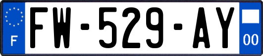 FW-529-AY