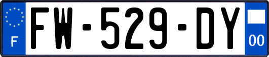 FW-529-DY