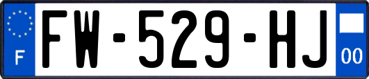 FW-529-HJ