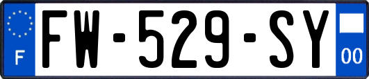 FW-529-SY