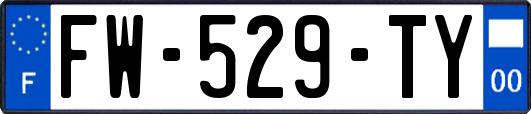 FW-529-TY