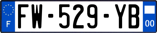 FW-529-YB
