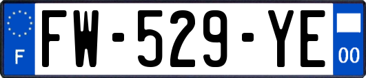 FW-529-YE
