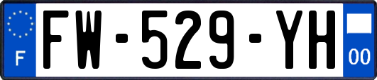FW-529-YH