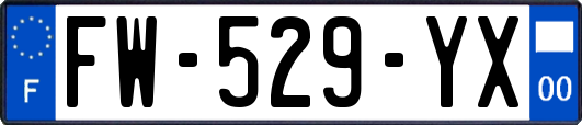 FW-529-YX