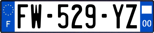 FW-529-YZ