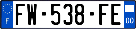 FW-538-FE