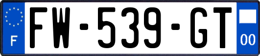 FW-539-GT