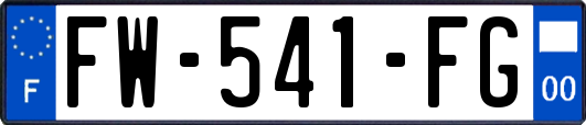 FW-541-FG