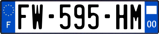 FW-595-HM