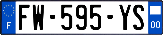 FW-595-YS
