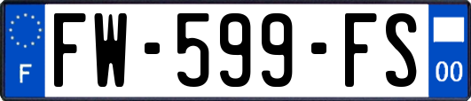FW-599-FS