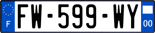 FW-599-WY