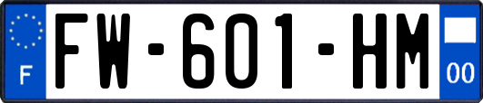 FW-601-HM