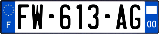 FW-613-AG