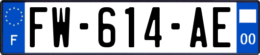 FW-614-AE