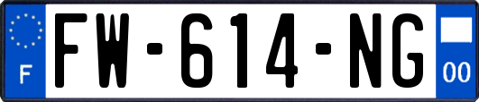 FW-614-NG