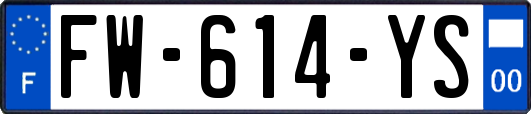 FW-614-YS