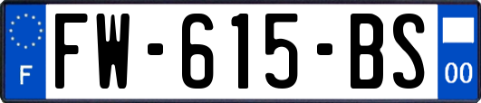 FW-615-BS