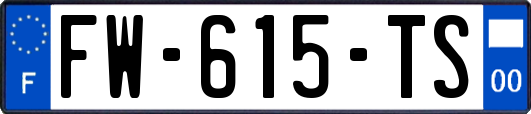 FW-615-TS