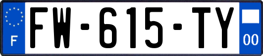 FW-615-TY