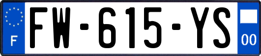 FW-615-YS