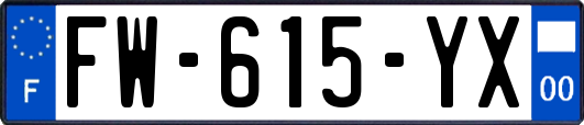 FW-615-YX